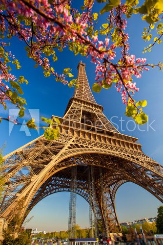 Fototapeta Eiffel Tower during spring time in Paris, France