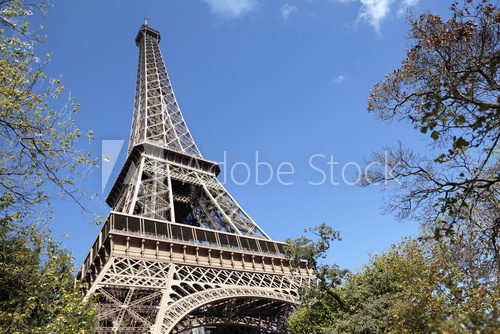 Fototapeta Eiffel Tower framed by trees, blue sky copy space