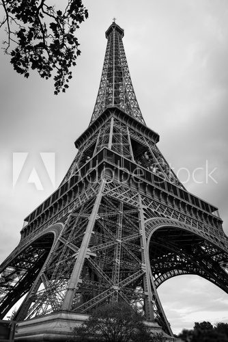 Fototapeta Eiffel Tower in Black and white