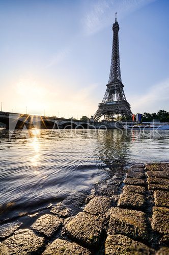 Fototapeta Eiffel tower, Paris