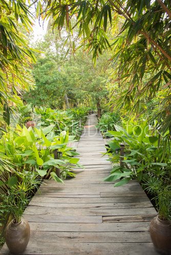 Fototapeta entrance gate to tropical garden