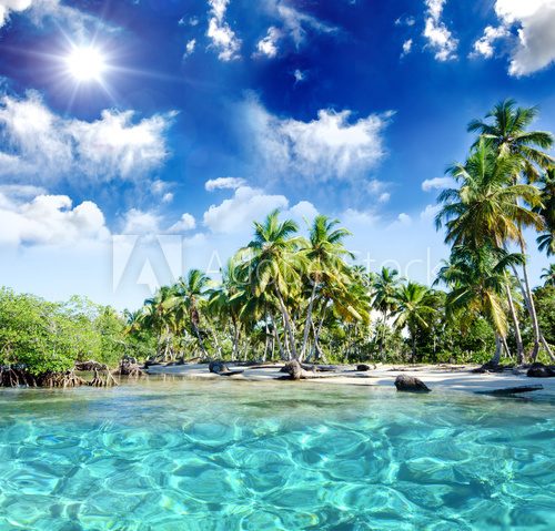 Fototapeta Entspannung, Relaxen: Traumurlaub an einem einsamen Strand in der Karibik :)