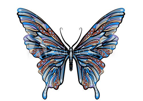 Fototapeta ethnic butterfly