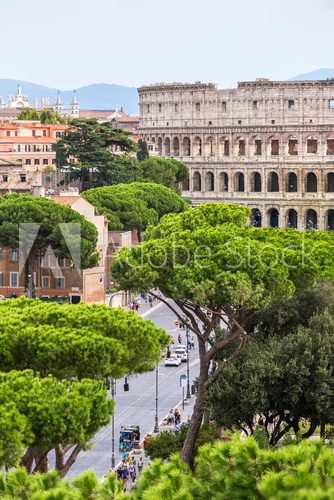 Fototapeta Exterior view of the Colosseum in Rome with green trees around.