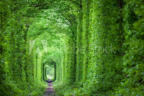 Fototapeta Fantastic Real Tunnel of Love, green trees and the railroad