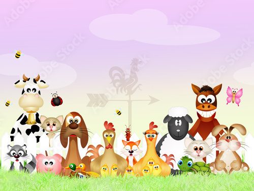 Fototapeta farm animals