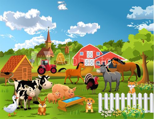 Fototapeta farm animals