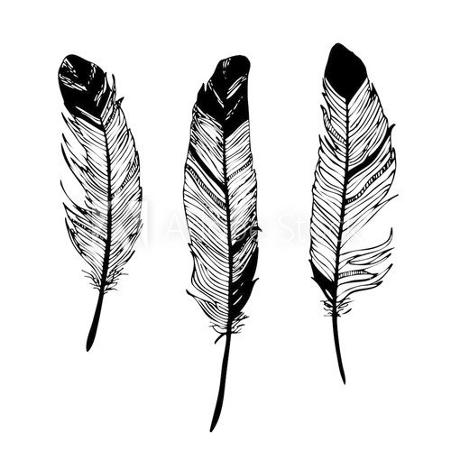 Fototapeta feathers black and white graphic drawing