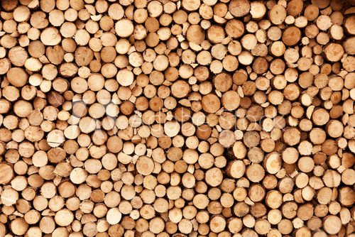 Fototapeta Firewood texture