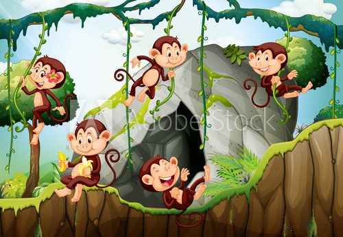 Fototapeta Five monkeys living in the forest