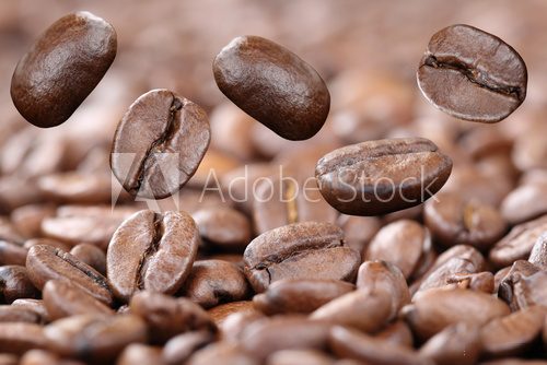 Fototapeta Fliegende Kaffeebohnen frischer Kaffee Bohnen fliegen