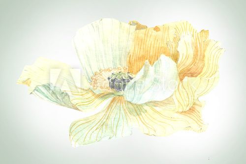 Fototapeta floral panel in retro style illustration of a watercolor