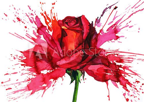 Fototapeta Flower