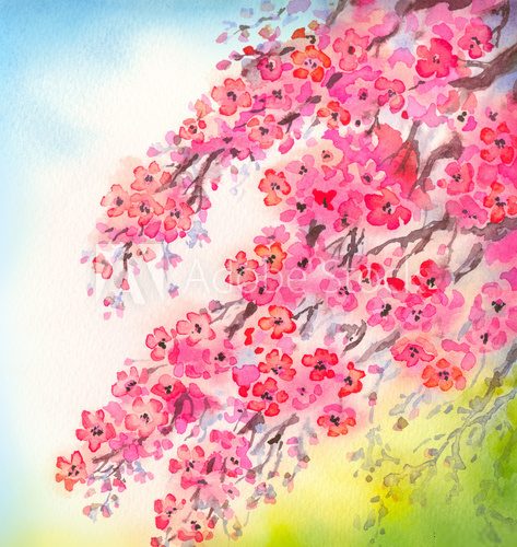 Fototapeta Flowering branches. Watercolour background