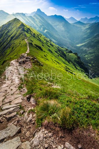 Fototapeta Footpath in the mountains in Poland
