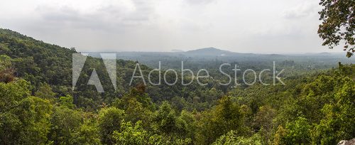 Fototapeta Forest in Ko Pha Ngan in Thailand