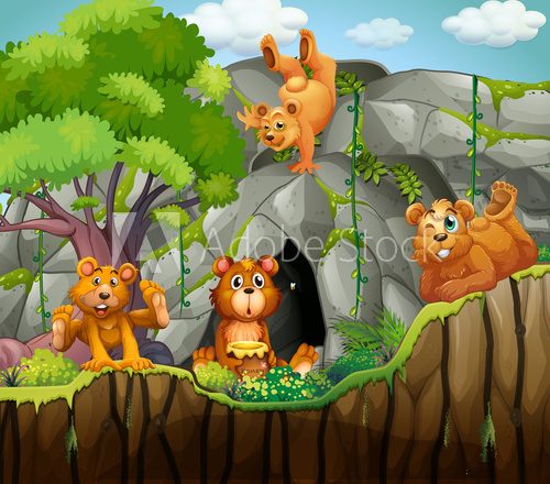 Fototapeta Four bears living in the cave