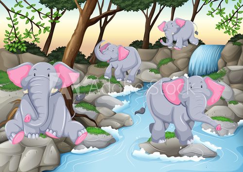 Fototapeta Four elephants at the waterfall