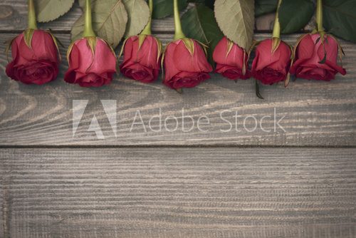 Fototapeta Frame of beautiful red roses