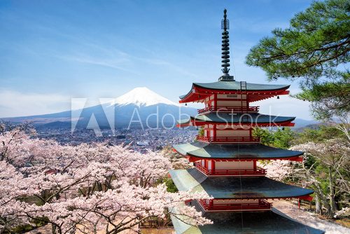 Fototapeta FrÃ¼hling und Sakura bei der Chureito Pagoda in Japan Fujiyoshida