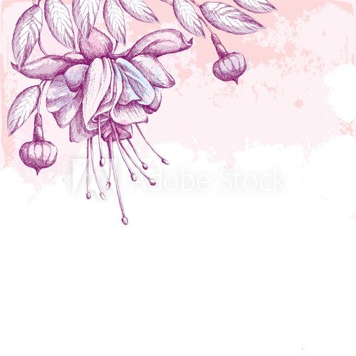 Fototapeta Fuchsia flower, leaves and buds on the textured background with blots in pastel colors. Greeting card with empty place for text. Hatching floral elements.