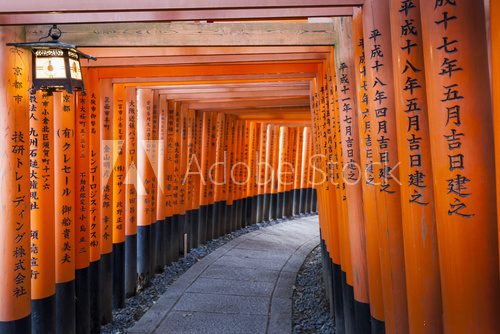 Fototapeta Fushimi Inari Taisha Shrine in Kyoto, Japan