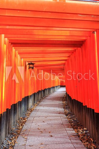 Fototapeta Fushimi Inari Taisha Shrine in Kyoto