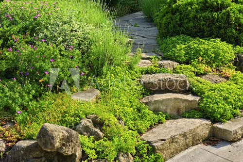 Fototapeta Garden path with stone landscaping
