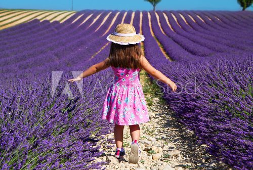 Fototapeta Girl in pink dress walking in lavender field