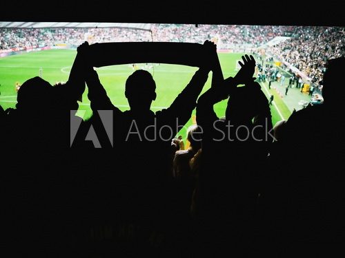 Fototapeta Goal!