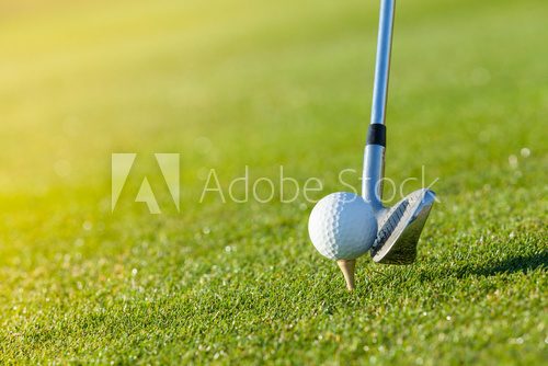 Fototapeta Golf club and ball in grass