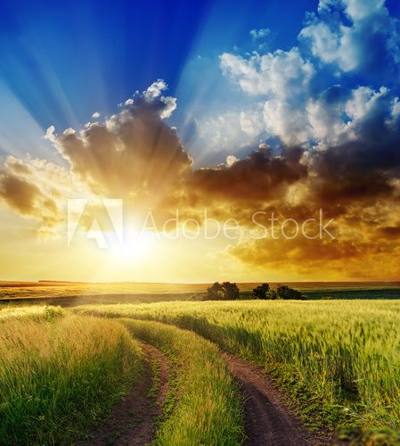 Fototapeta good sunset over rural road