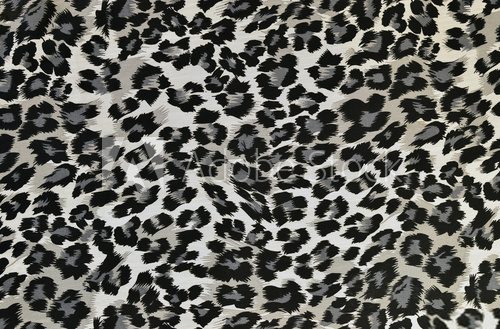 Fototapeta Grey and black leopard pattern.Spotted animal print background.