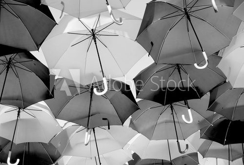 Fototapeta guarda chuvas em preto e branco