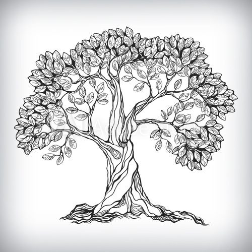 Fototapeta Hand drawn tree symbol