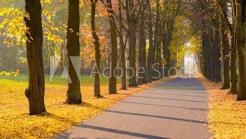 Fototapeta Herbst1311a