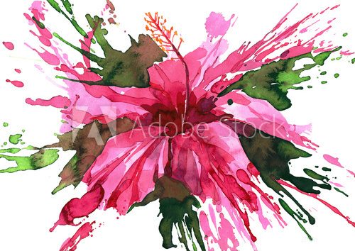 Fototapeta hibiscus flower