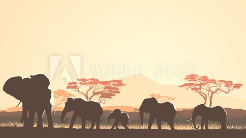 Fototapeta Horizontal illustration of wild animals in African sunset savann
