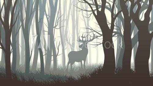 Fototapeta Horizontal illustration of wild elk in wood.