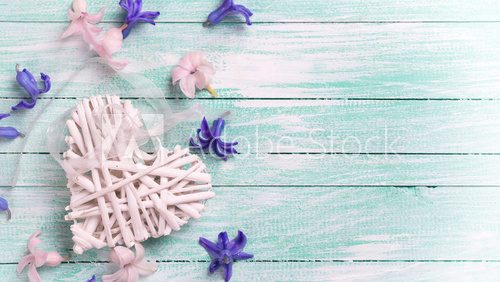 Fototapeta Hyacinths flowers and decorative heart on wooden table