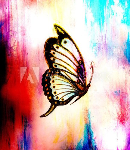 Fototapeta  illustration of a butterfly, mixed medium, abstract color background.
