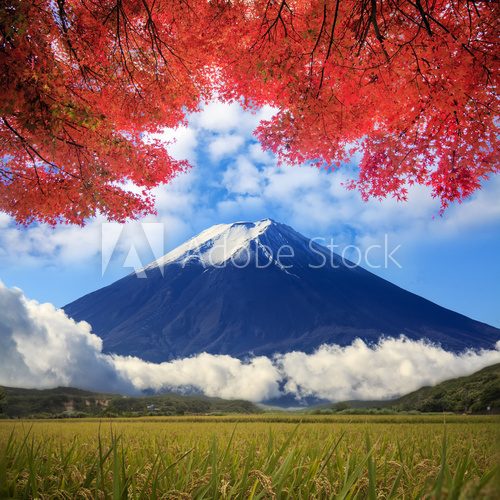 Fototapeta image of fuji mountain