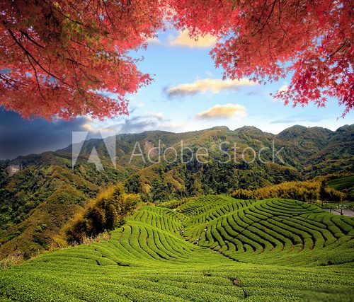 Fototapeta Image of the sacred mountain of Fuji in the background of blue s