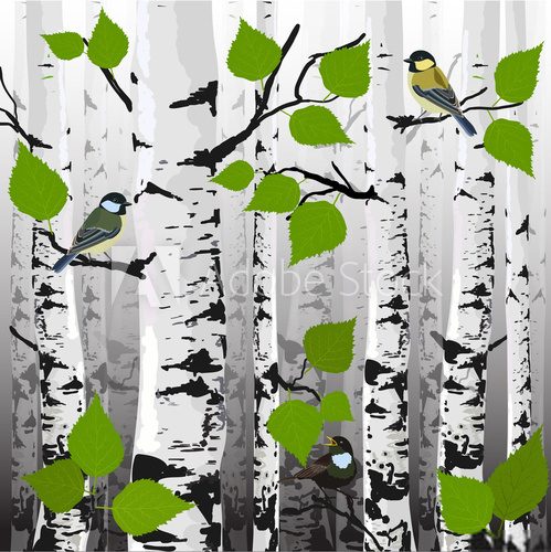 Fototapeta In the forest, the birds on the trees, vector