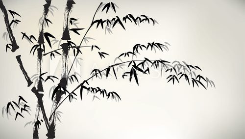 Fototapeta ink painted bamboo