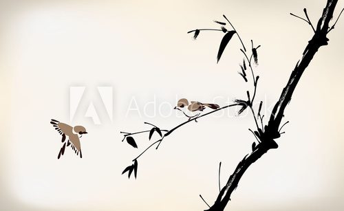 Fototapeta ink painted bamboo and bird