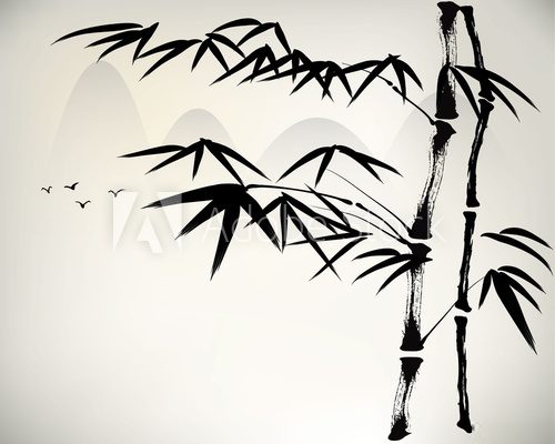 Fototapeta ink painted bamboo
