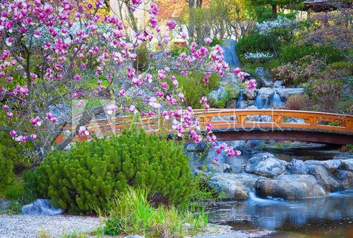 Fototapeta japanese garden