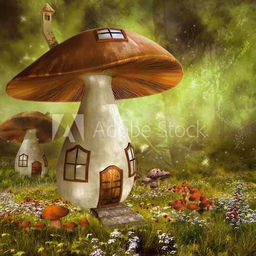 Fototapeta Kolorowy domek z grzyba na ÅÄce
