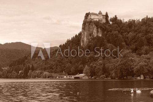 Fototapeta Lake Bled